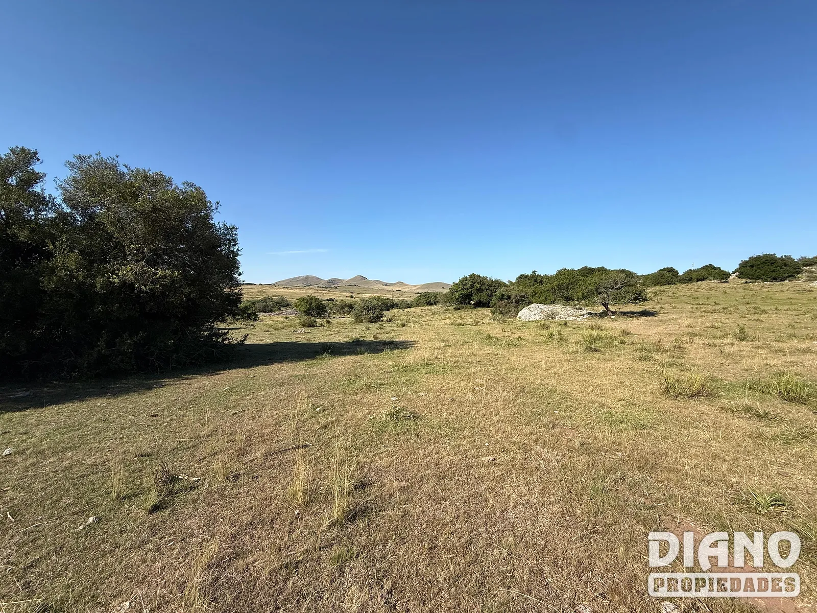 Ruta 8, campo criador