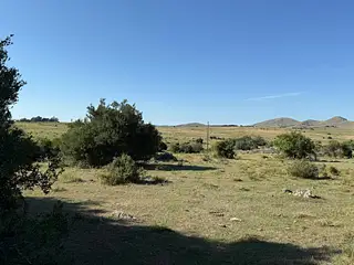 Ruta 8, campo criador