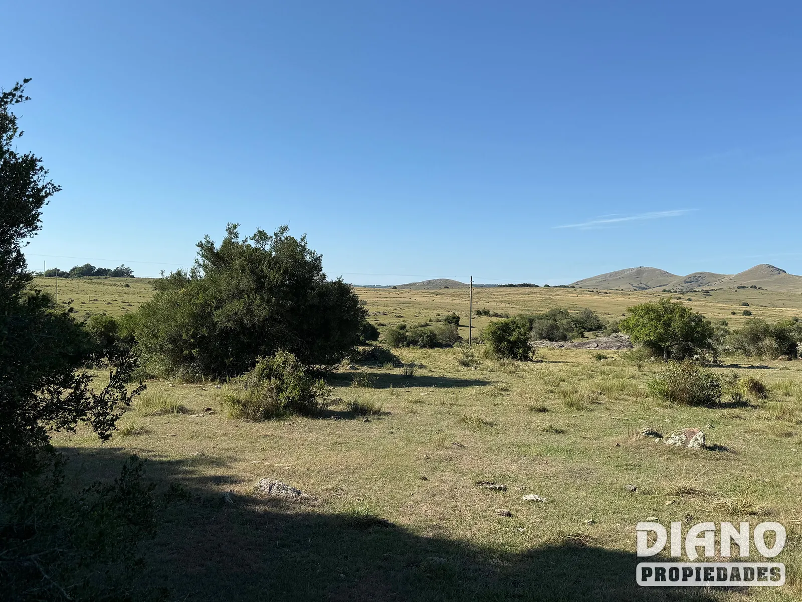 Ruta 8, campo criador