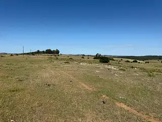 Ruta 8, campo criador