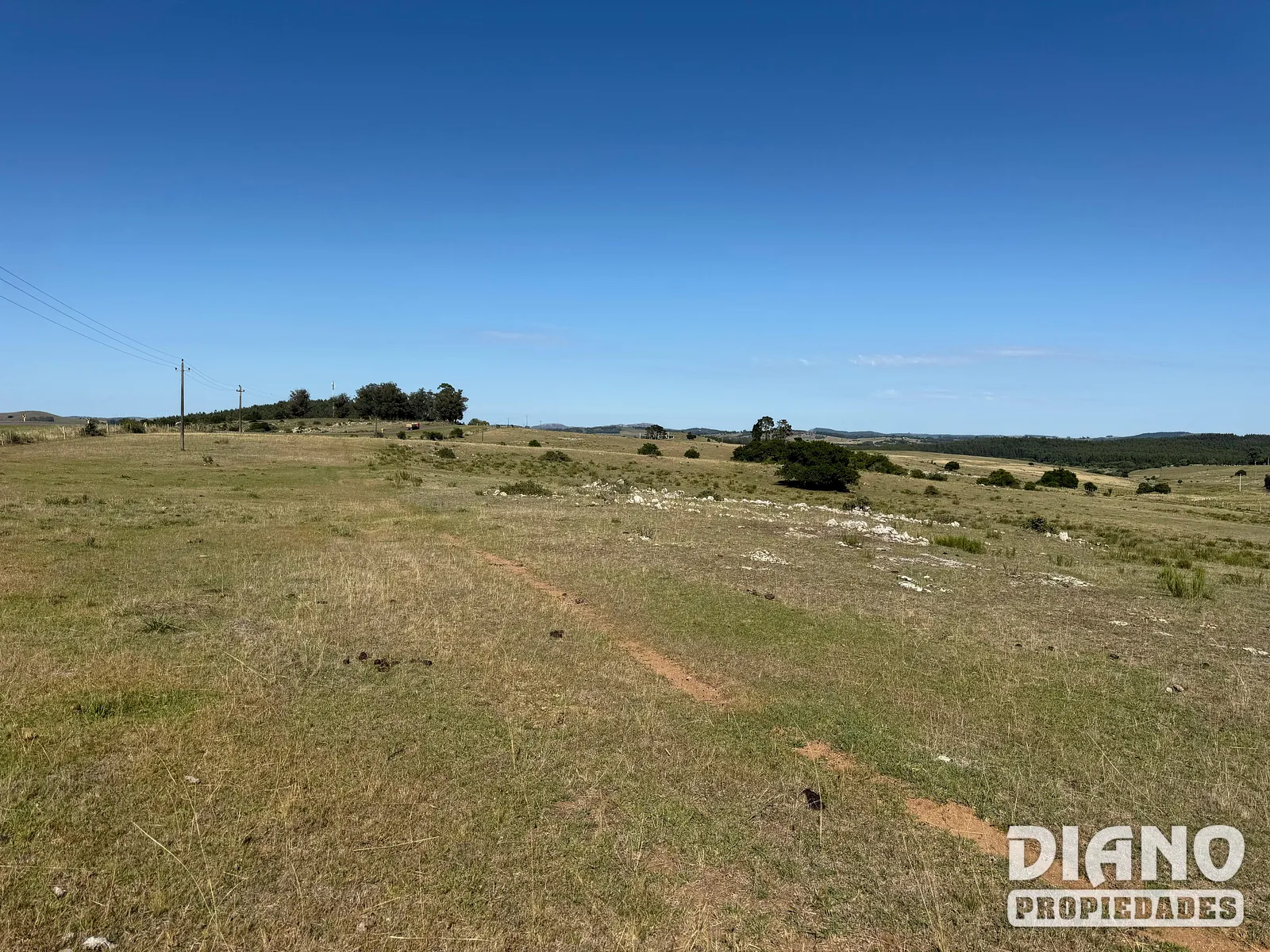 Ruta 8, campo criador