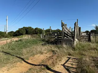 Ruta 8, campo criador