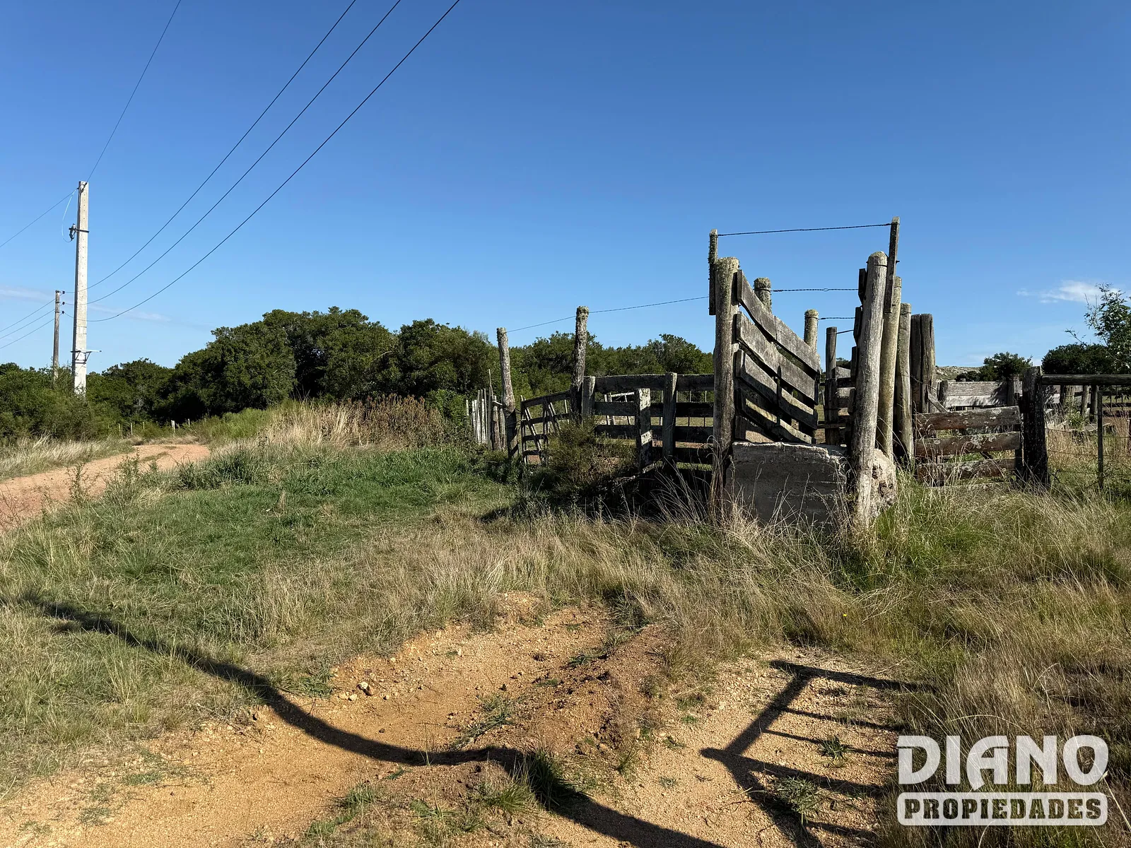 Ruta 8, campo criador