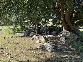 Ruta 8, campo criador