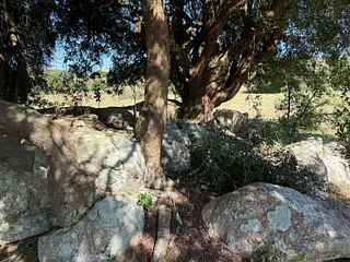 Ruta 8, campo criador