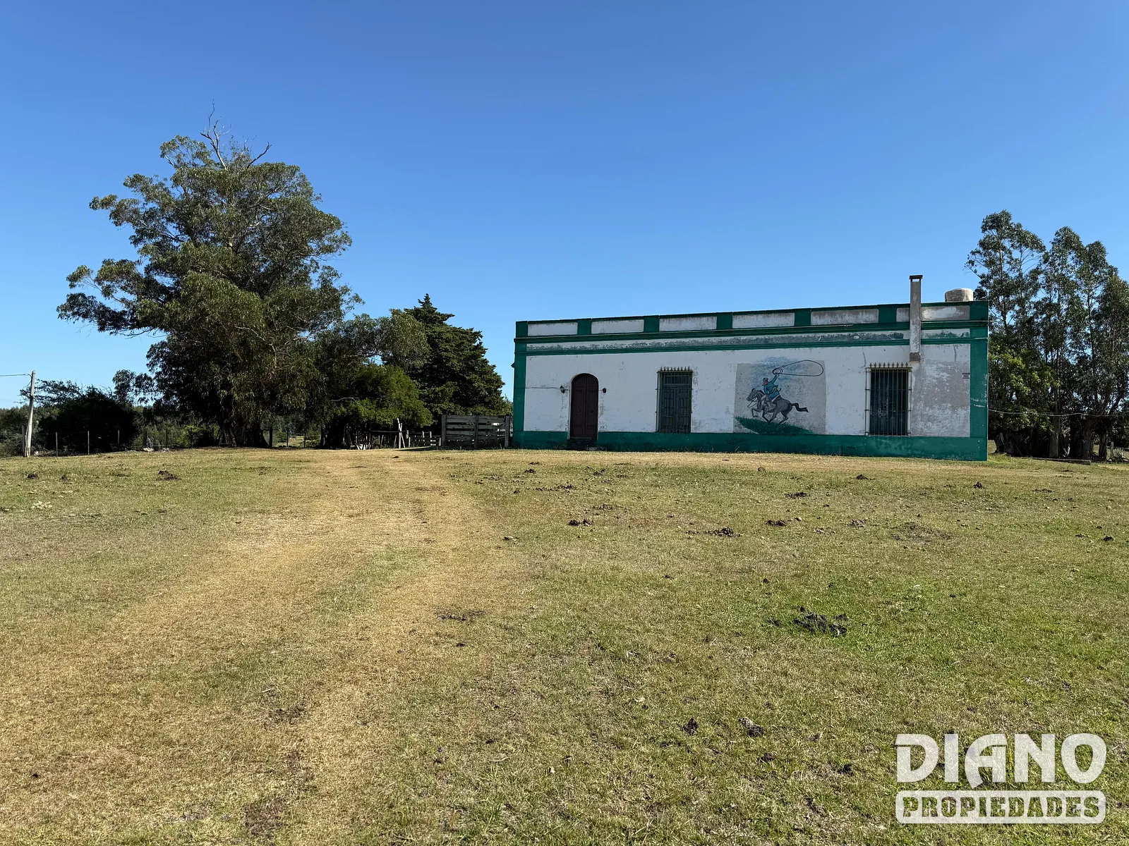Ruta 8, campo criador