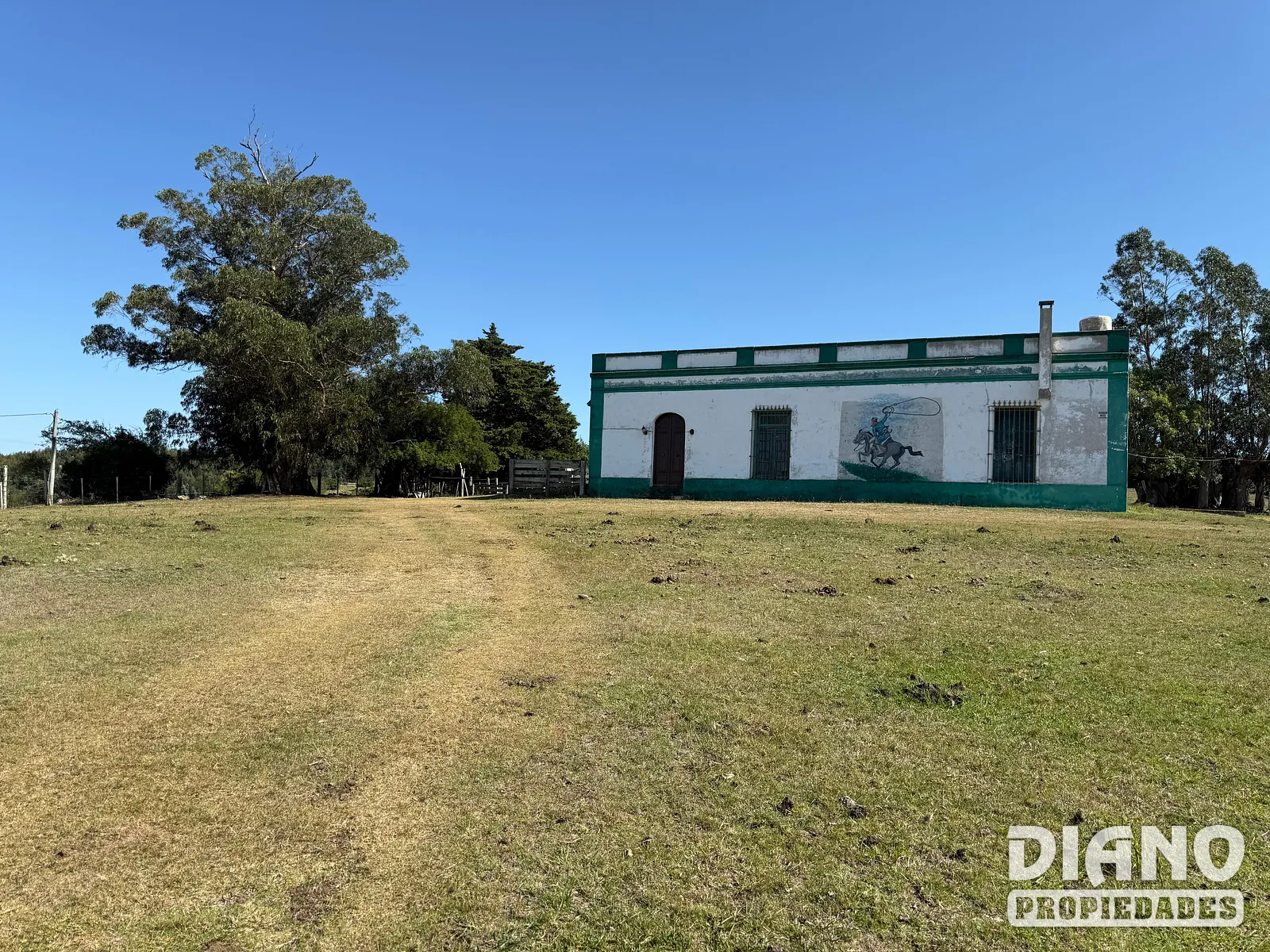 Ruta 8, campo criador