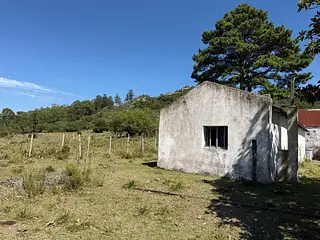 Ruta 8, campo criador