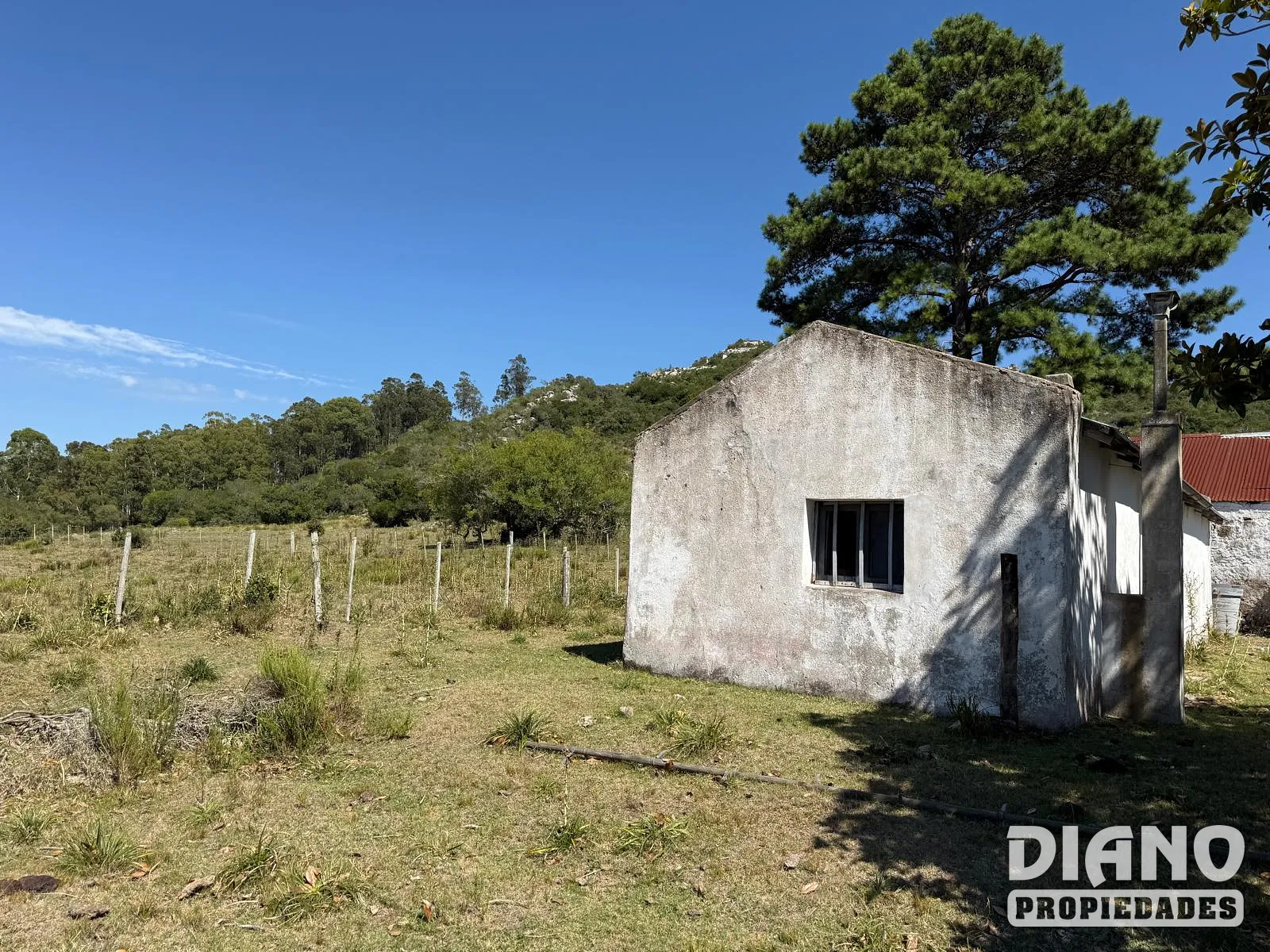 Ruta 8, campo criador