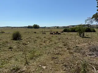 Ruta 8, campo criador