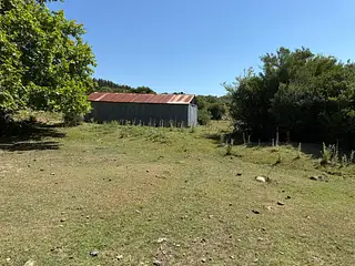 Ruta 8, campo criador