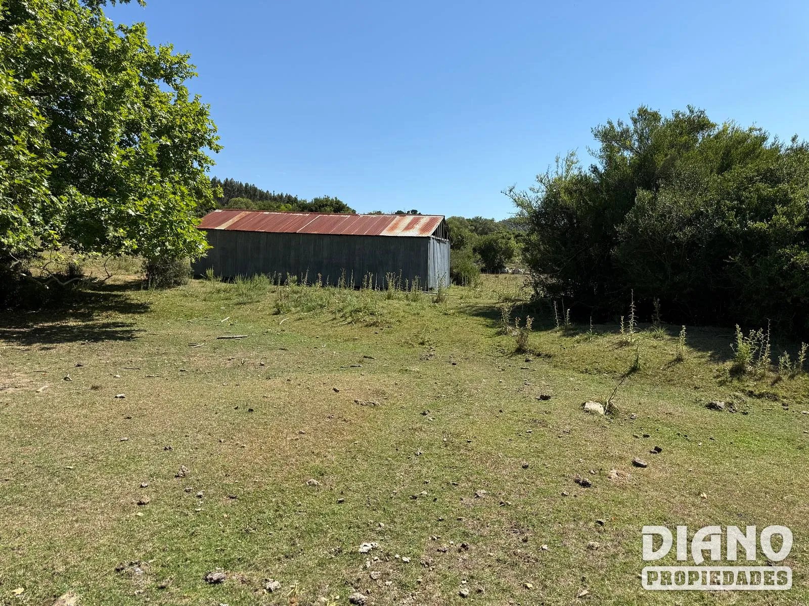 Ruta 8, campo criador