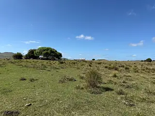 Venta Campo En Lavalleja 34 Has Naturales Excelente Ubicación