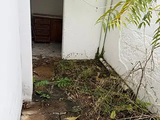 Centro, PH generando renta. 