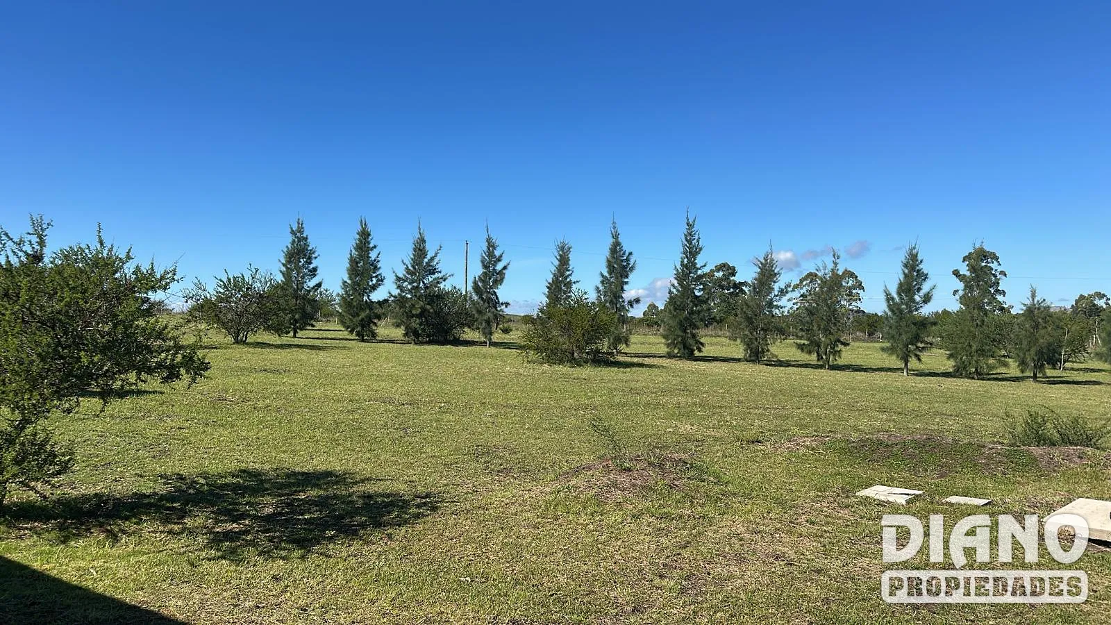 CHACRA EN VENTA 9,5 h UBICADA EN AREQUITA, MINAS