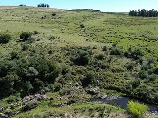 Chacra 23 Hectáreas Con Casa Y Arroyo | Lavalleja, Cerca De Minas