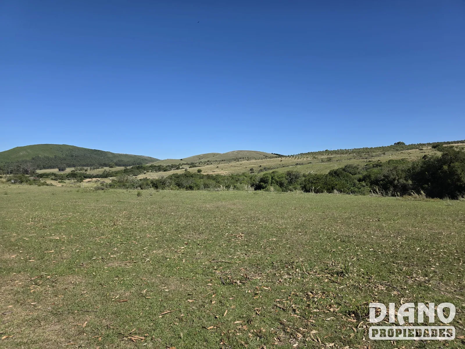 Chacra 23 Hectáreas Con Casa Y Arroyo | Lavalleja, Cerca De Minas