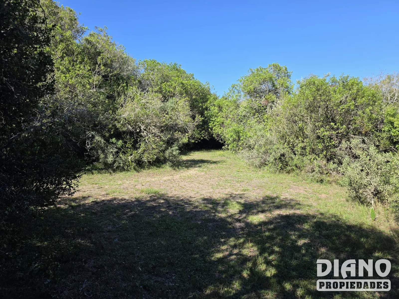 Chacra 23 Hectáreas Con Casa Y Arroyo | Lavalleja, Cerca De Minas