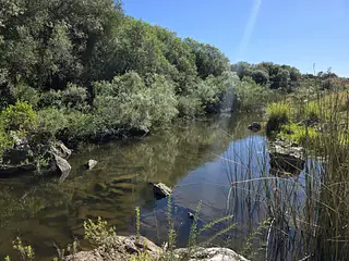 Chacra 23 Hectáreas Con Casa Y Arroyo | Lavalleja, Cerca De Minas