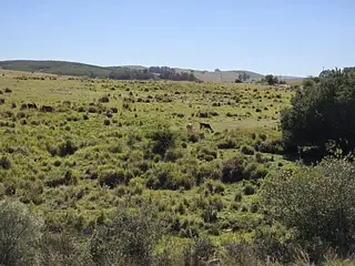 Chacra 23 Hectáreas Con Casa Y Arroyo | Lavalleja, Cerca De Minas