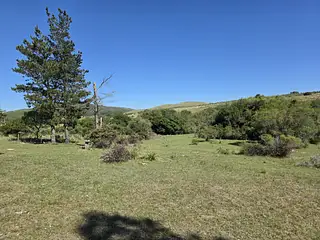 Chacra 23 Hectáreas Con Casa Y Arroyo | Lavalleja, Cerca De Minas