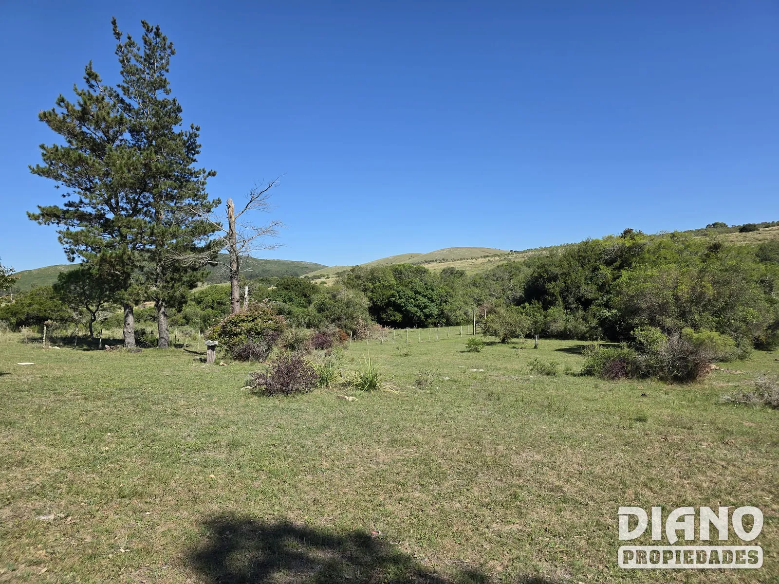 Chacra 23 Hectáreas Con Casa Y Arroyo | Lavalleja, Cerca De Minas
