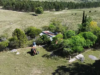 Campo 11 Hectáreas En Lavalleja Casa, Arroyo Campanero Y Luz