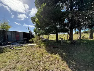 Campo 11 Hectáreas En Lavalleja Casa, Arroyo Campanero Y Luz