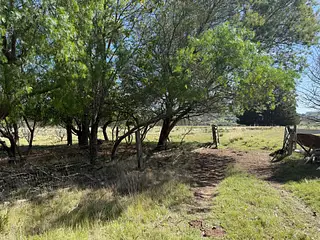 Campo 11 Hectáreas En Lavalleja Casa, Arroyo Campanero Y Luz