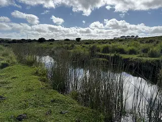 Venta Campo En Lavalleja 34 Has Naturales Excelente Ubicación