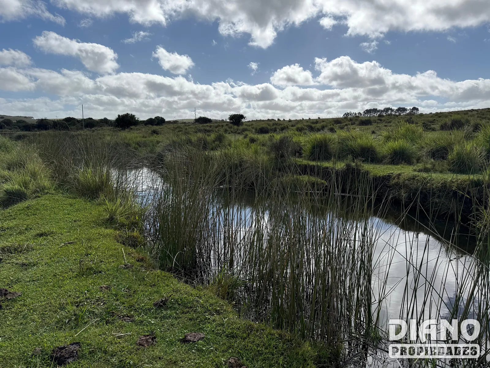 Venta Campo En Lavalleja 34 Has Naturales Excelente Ubicación