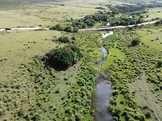 Venta Campo En Lavalleja 34 Has Naturales Excelente Ubicación
