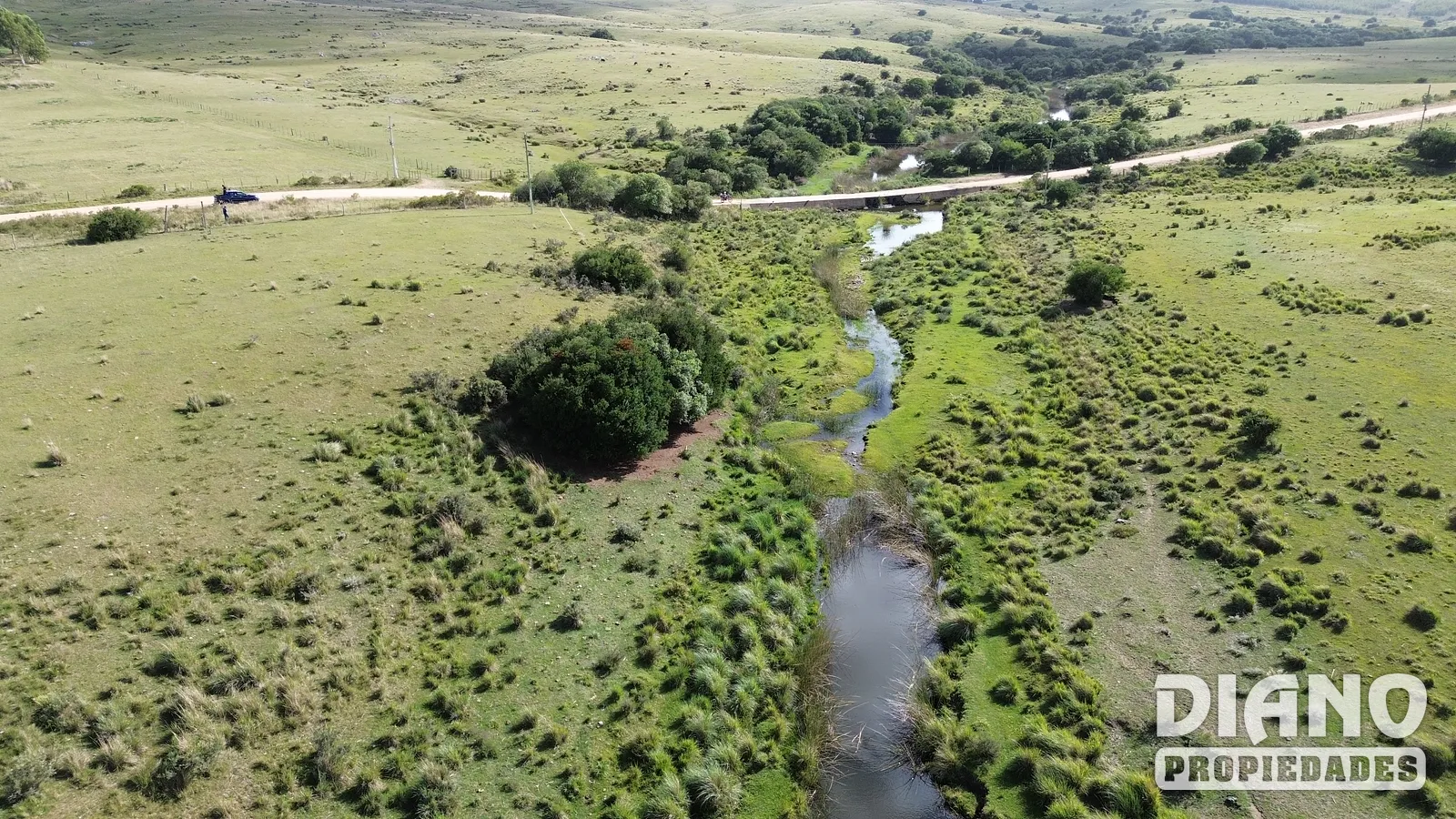 Venta Campo En Lavalleja 34 Has Naturales Excelente Ubicación
