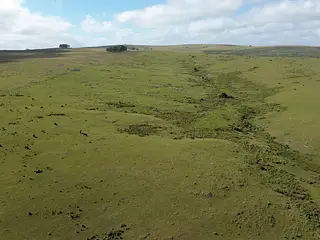 Venta Campo En Lavalleja 34 Has Naturales Excelente Ubicación