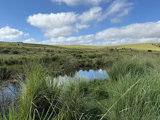 Venta Campo En Lavalleja 34 Has Naturales Excelente Ubicación