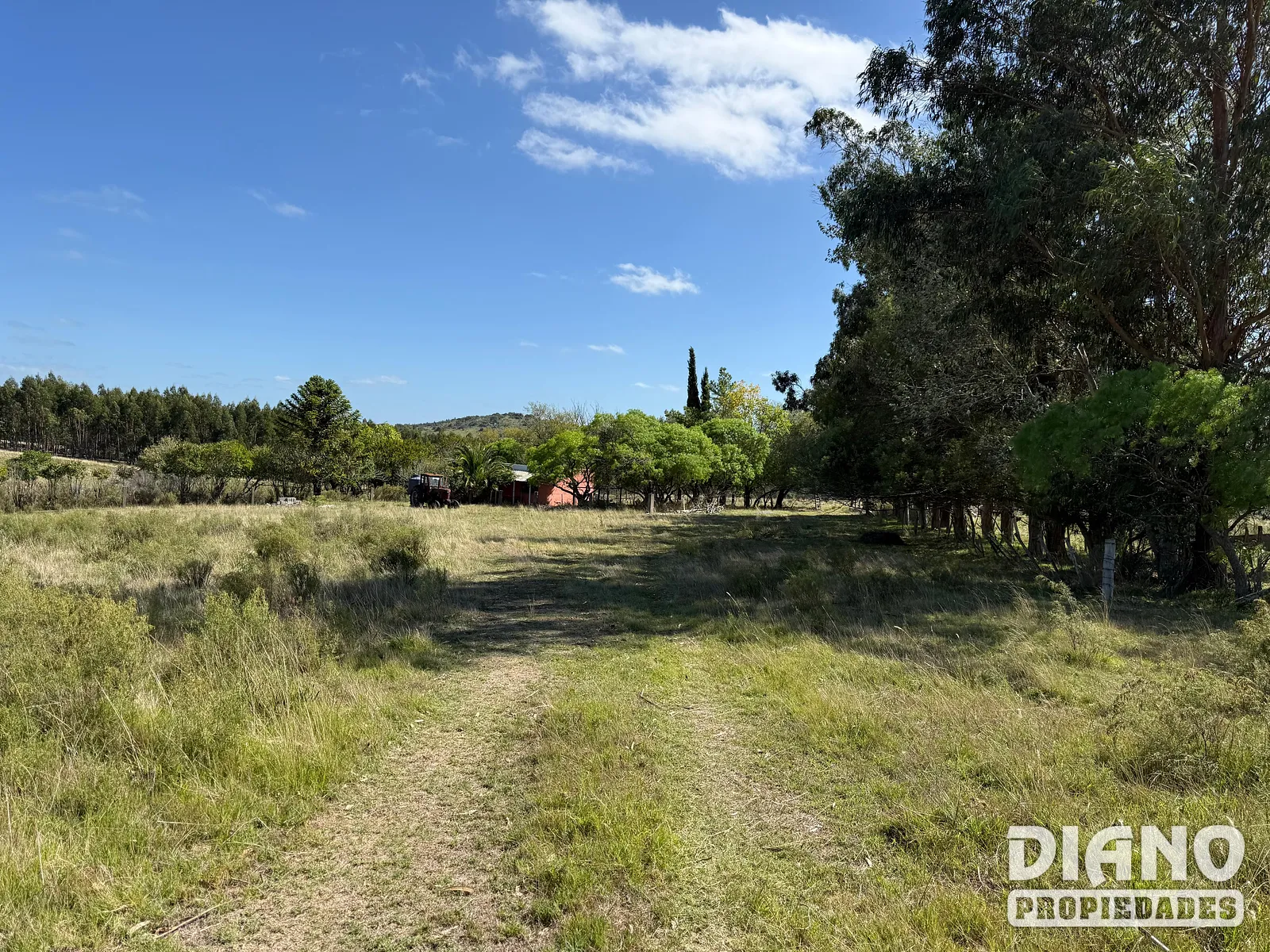 Venta Campo En Lavalleja 34 Has Naturales Excelente Ubicación