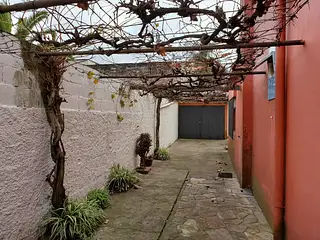 Calle Colon, amplia casa. 