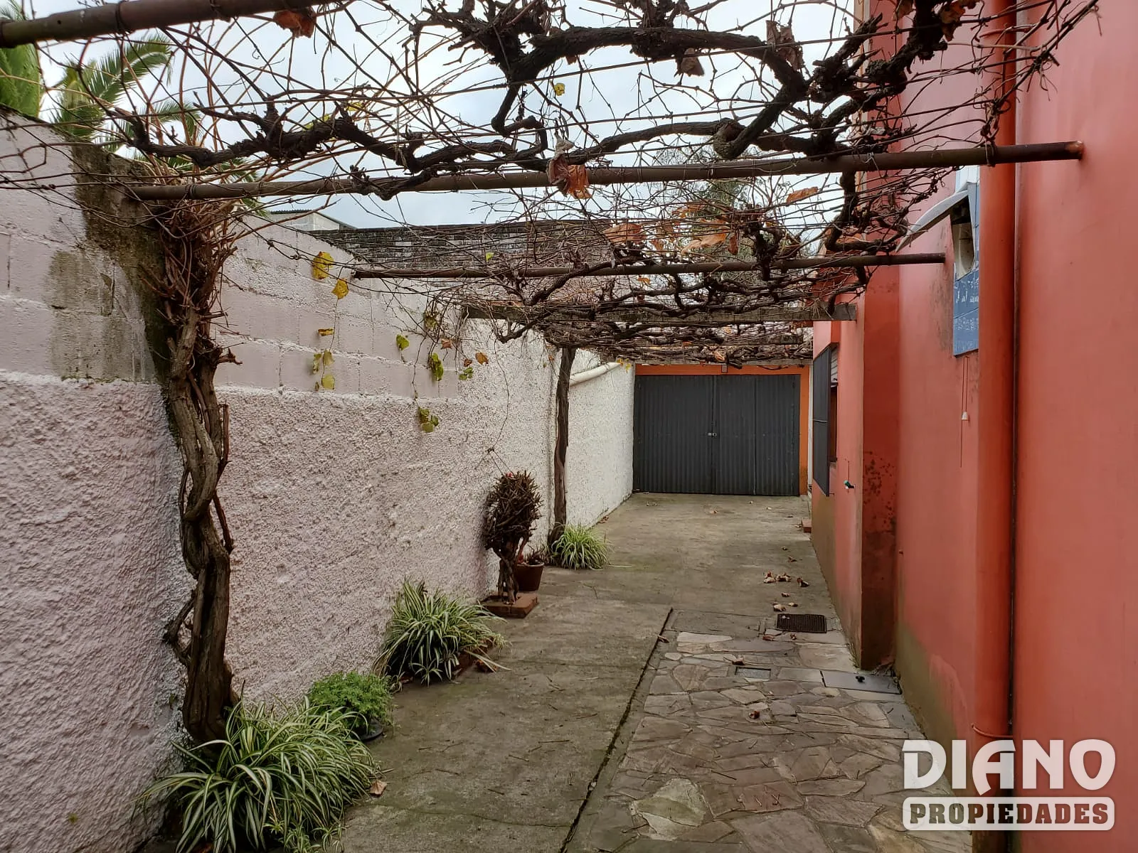 Calle Colon, amplia casa. 