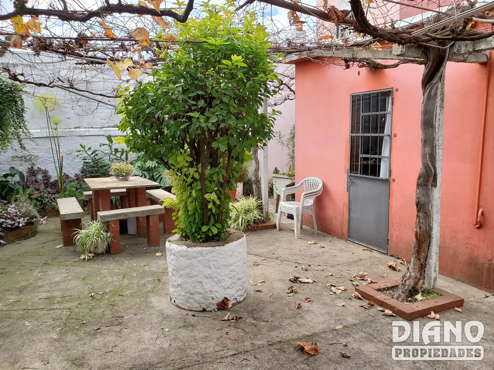 Calle Colon, amplia casa. 