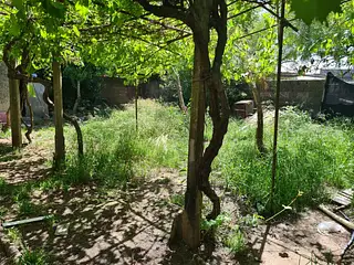 Zona Cementerio Central