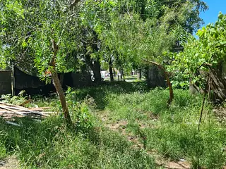 Zona Cementerio Central