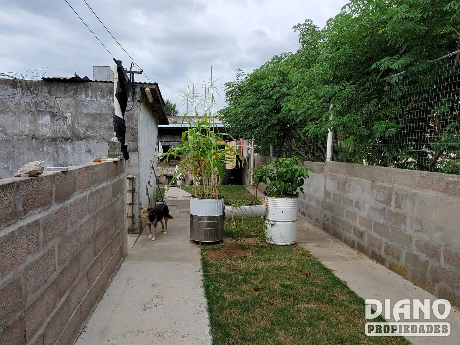 Zona 3 puentes. 2 casas en el mismo padrón