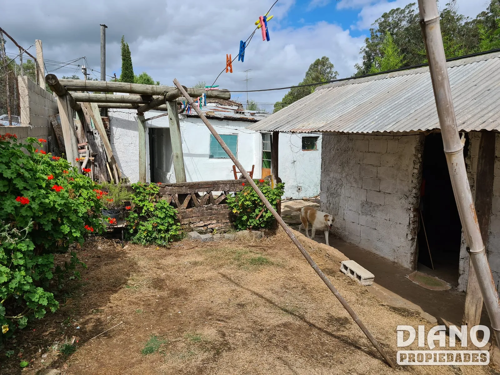 Las Delicias, 3 unidades
